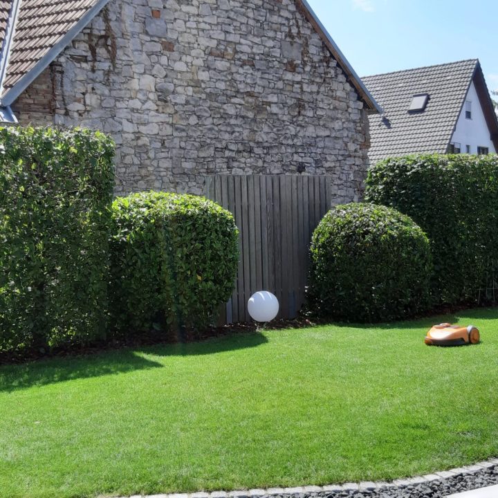 Gartenpflege Freiburg-min Gartenpflege und Rasenpflege Freiburg